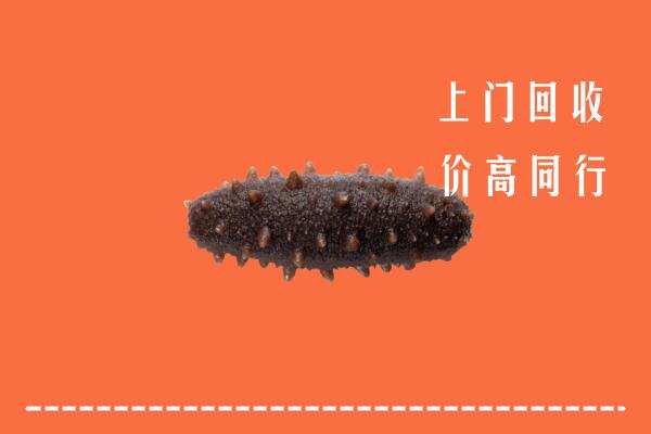 洛阳高价回收海参