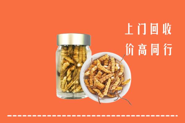洛阳回收冬虫夏草
